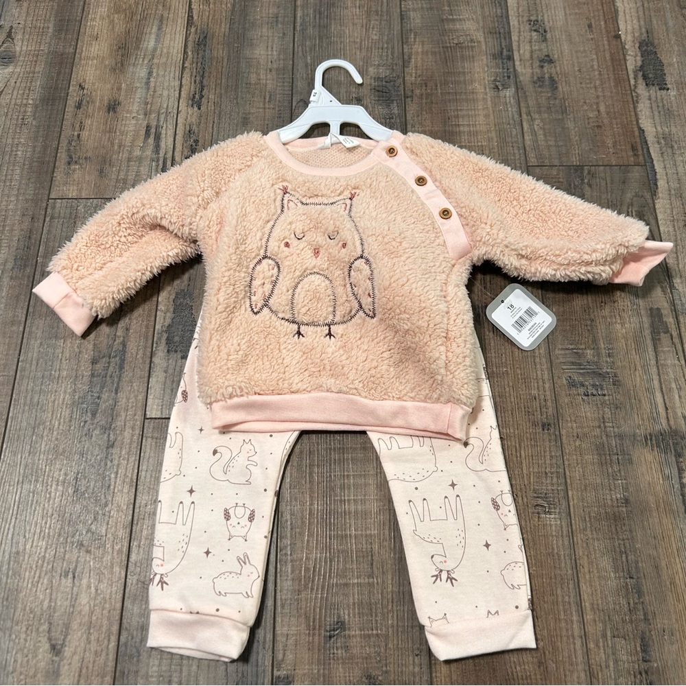 Rene Girls 18 Months 2 Piece Plush Pink Owl Top/Pant Set Outfit NWT